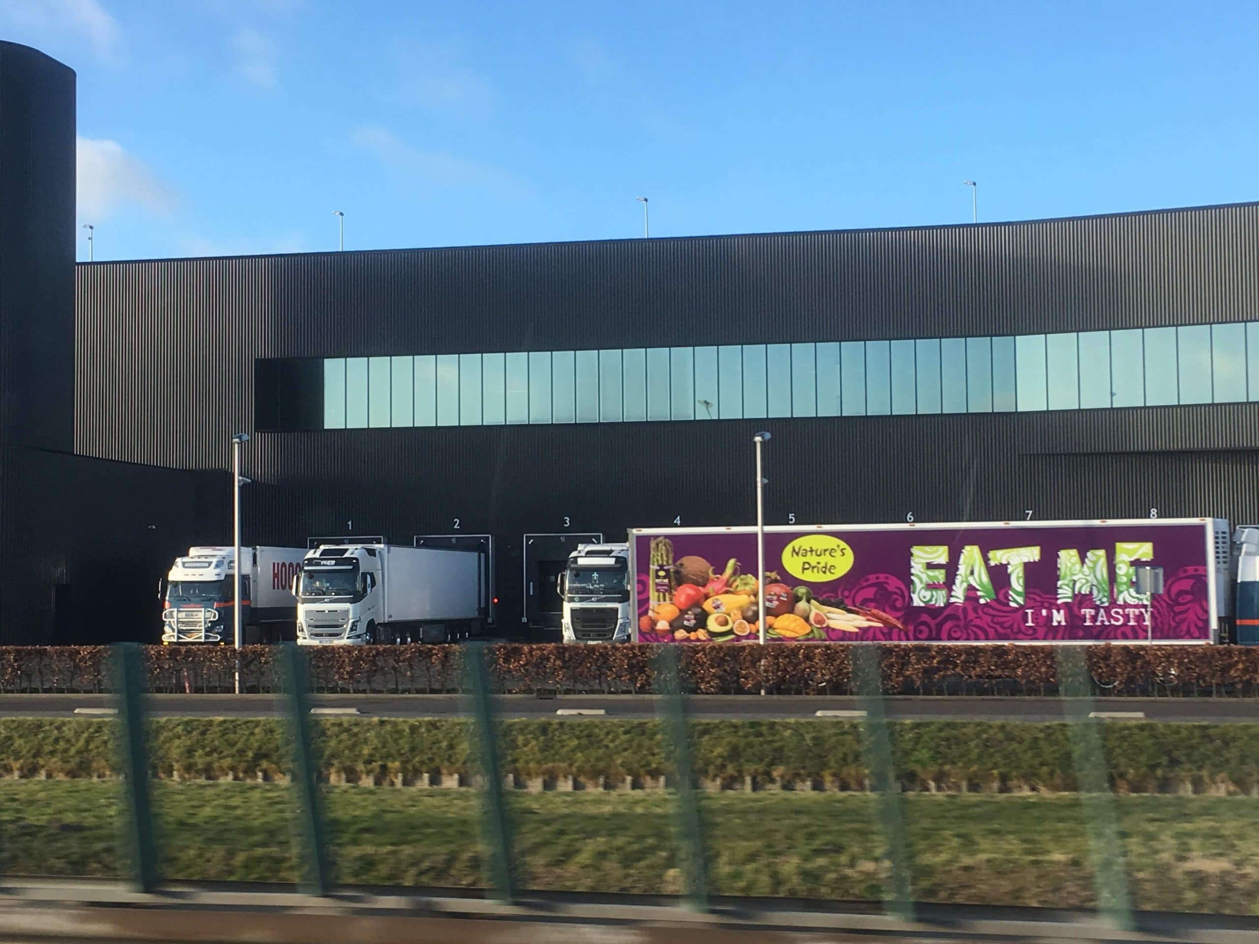 Nature's Pride - Maasland - Productie ruimte werd voorzien van Sunblock Truevue 15 teneinde de hinderlijke schittering van het zonlicht weg te nemen